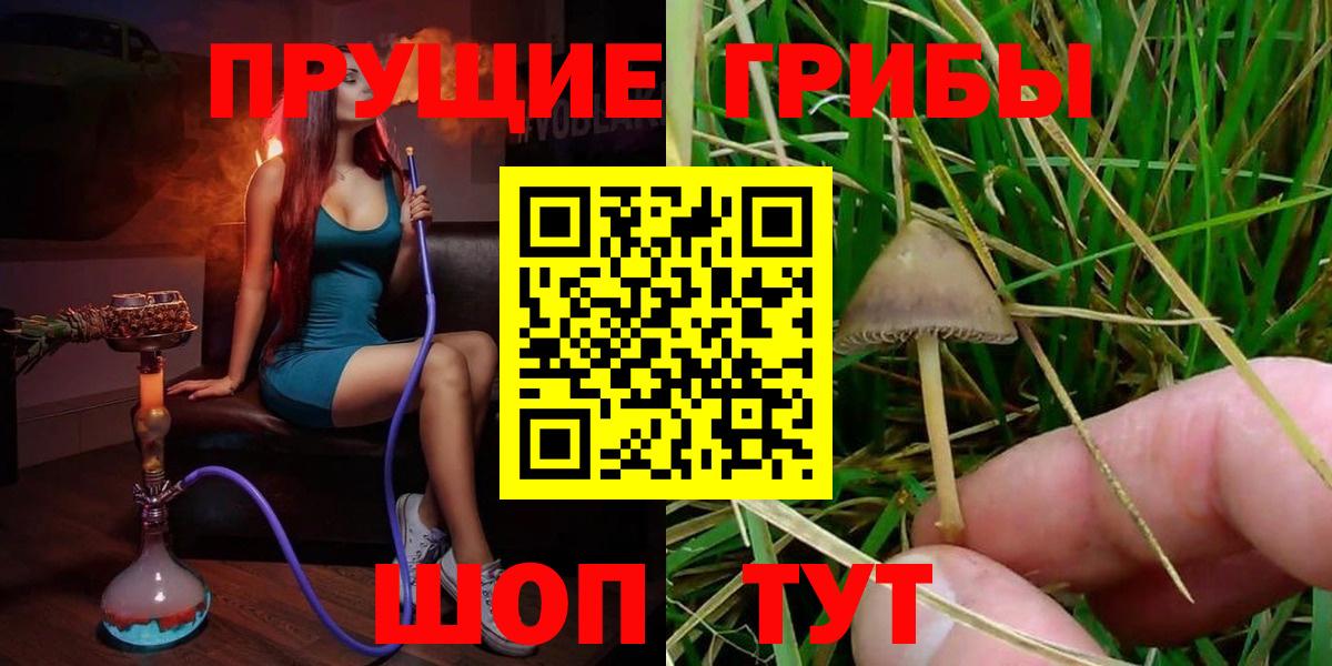 Псилоцибиновые грибы Magic Shrooms Богородицк
