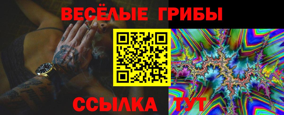 Галлюциногенные грибы Psilocybe  где купить   Вход с VPN  Богородицк  Псилоцибиновые грибы MAGIC MUSHROOMS 